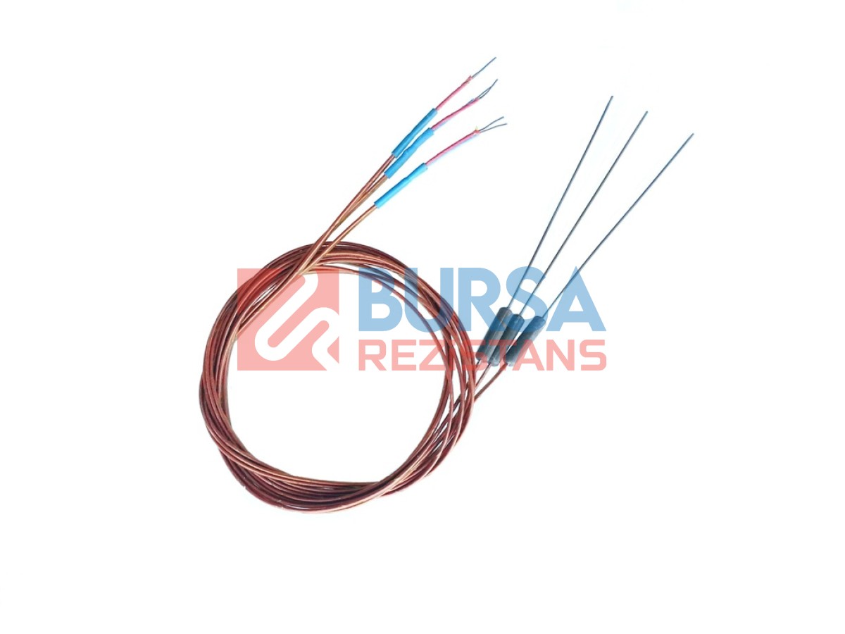 Ø1x100mm Mantel Termokupl